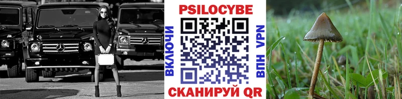 Псилоцибиновые грибы Psilocybe  даркнет сайт  Балашиха 