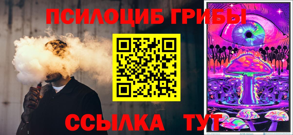 Галлюциногенные грибы Psilocybine cubensis Балашиха