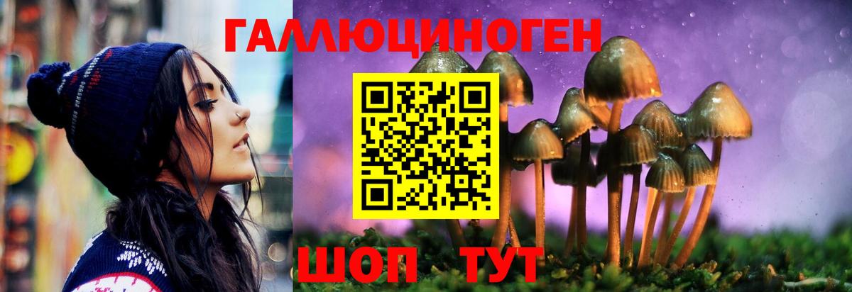 Галлюциногенные грибы Psilocybe  Вход с VPN  Галлюциногенные грибы MAGIC MUSHROOMS  Балашиха 